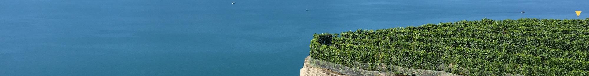 Swiss Wine Lavaux